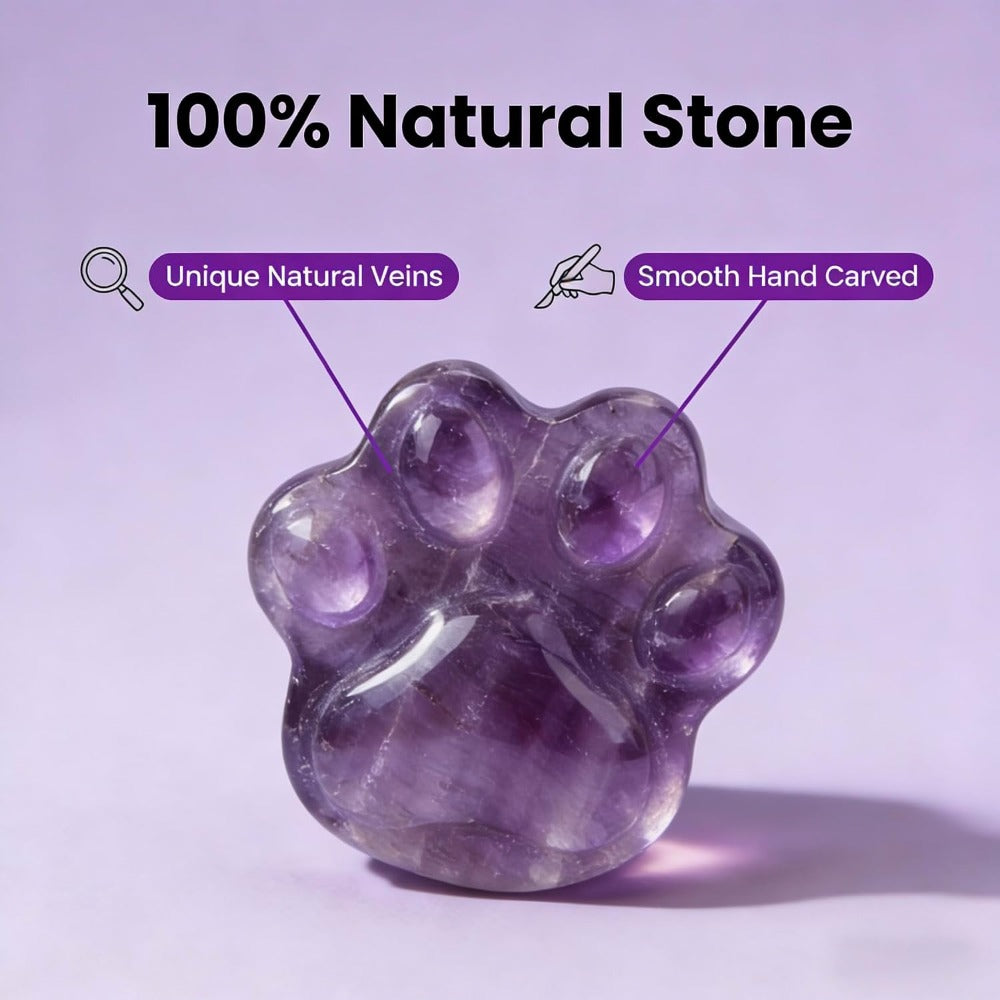 Amethyst Pet Memorial Gift, Paw Print Keepsake Stone in Gift Box for Loss of Dog or Cat, Sympathy Memorial Keepsake