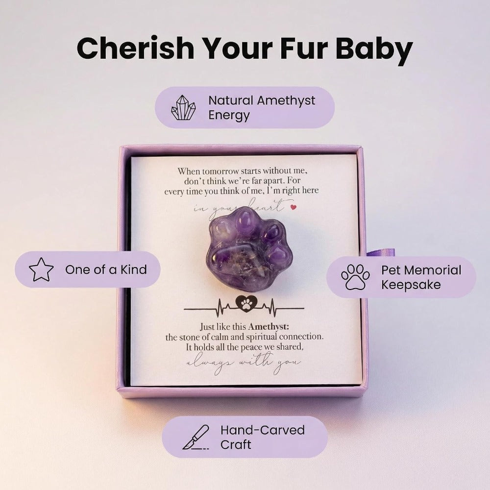 Amethyst Pet Memorial Gift, Paw Print Keepsake Stone in Gift Box for Loss of Dog or Cat, Sympathy Memorial Keepsake