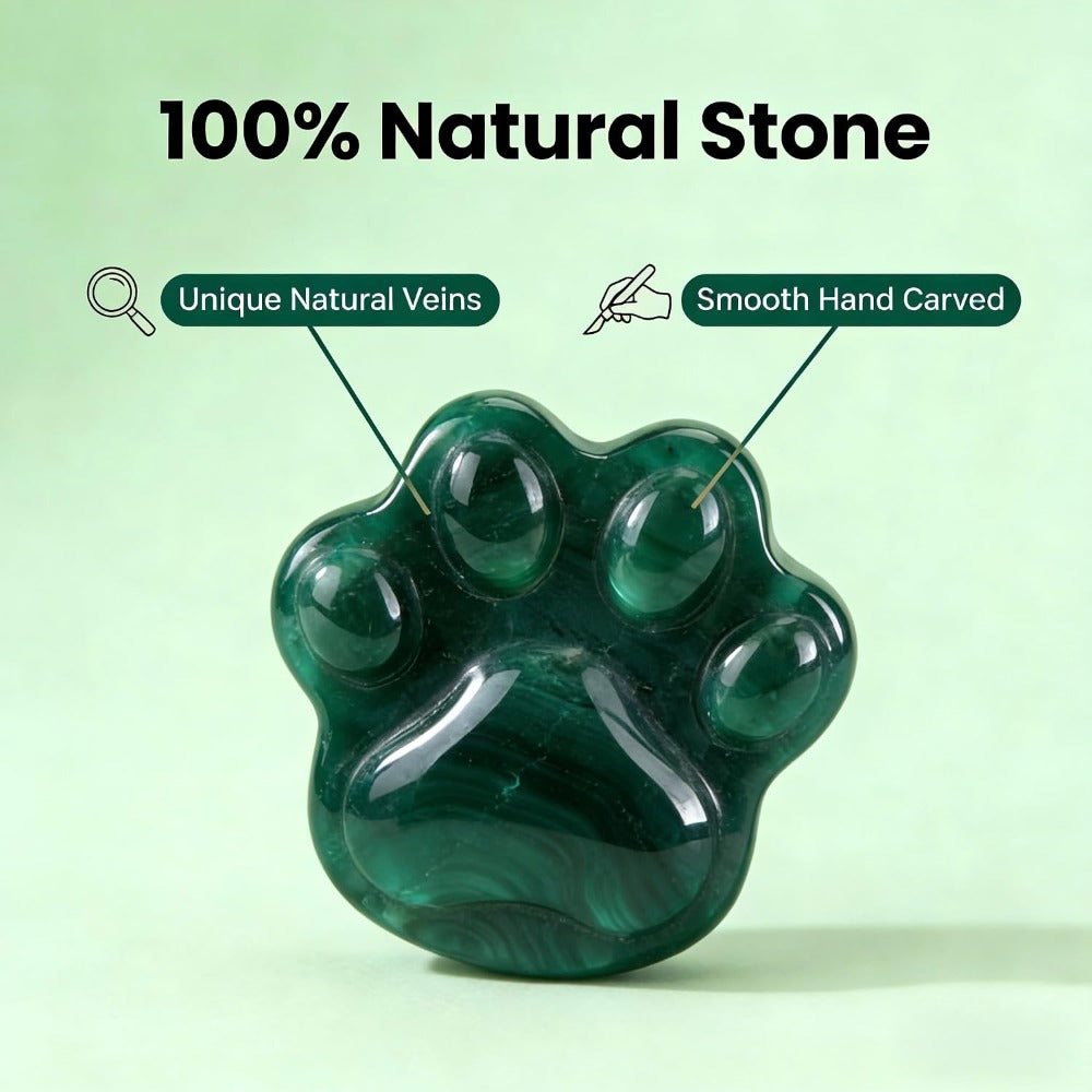 Green Agate Pet Memorial Gift, Natural Paw Print Stone with Rainbow Bridge Card, Sympathy Keepsake for Loss of Dog or Cat