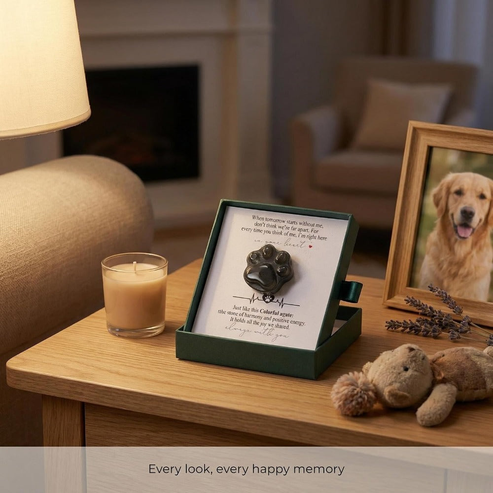 Natural Indian Agate Pet Memorial Gift Set with Paw Print Stone & Bracelet