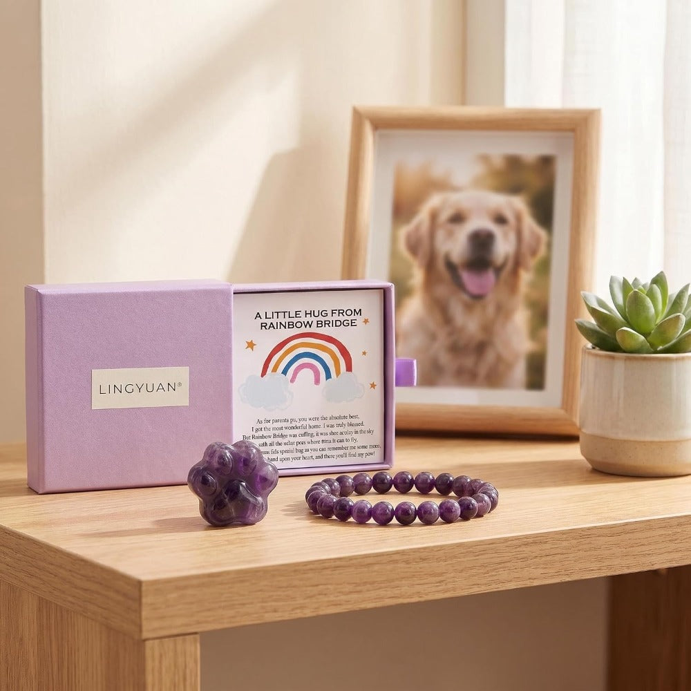 Amethyst Pet Memorial Gift Set, Natural Paw Print Stone with 6mm Bracelet, Rainbow Bridge Sympathy Keepsake for Loss of Dog or Cat