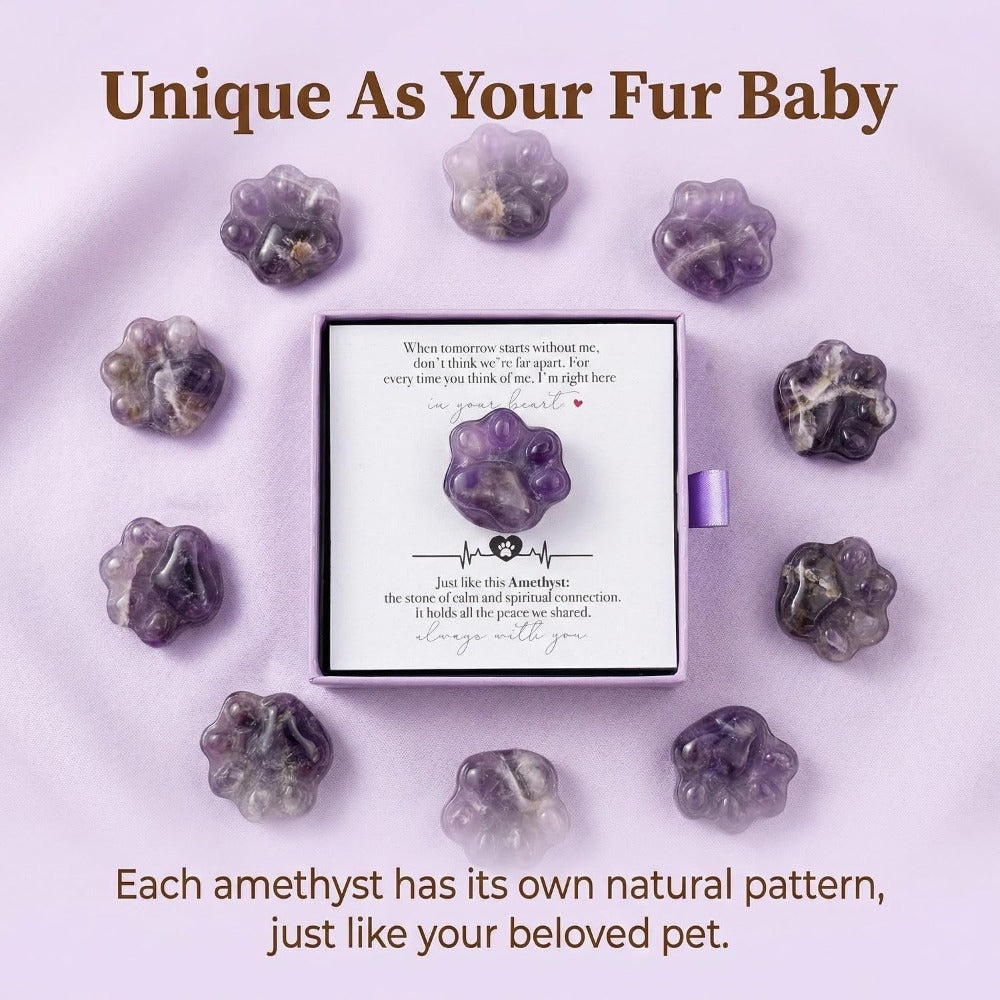 Amethyst Pet Memorial Gift, Paw Print Keepsake Stone in Gift Box for Loss of Dog or Cat, Sympathy Memorial Keepsake
